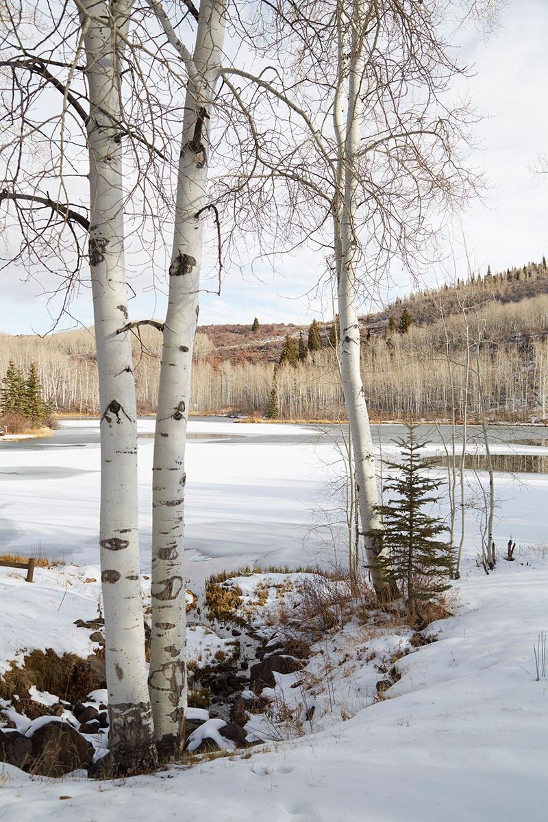 Seven Lakes Lodge